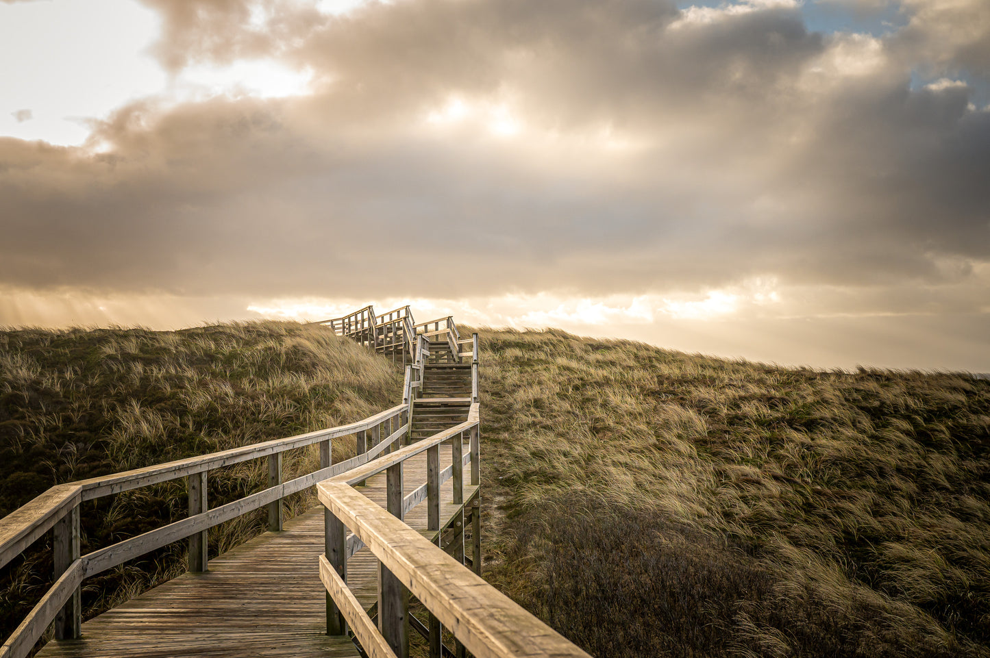 Leinwanddruck #31 "Sylt Dünenwanderweg Wenningstedt"