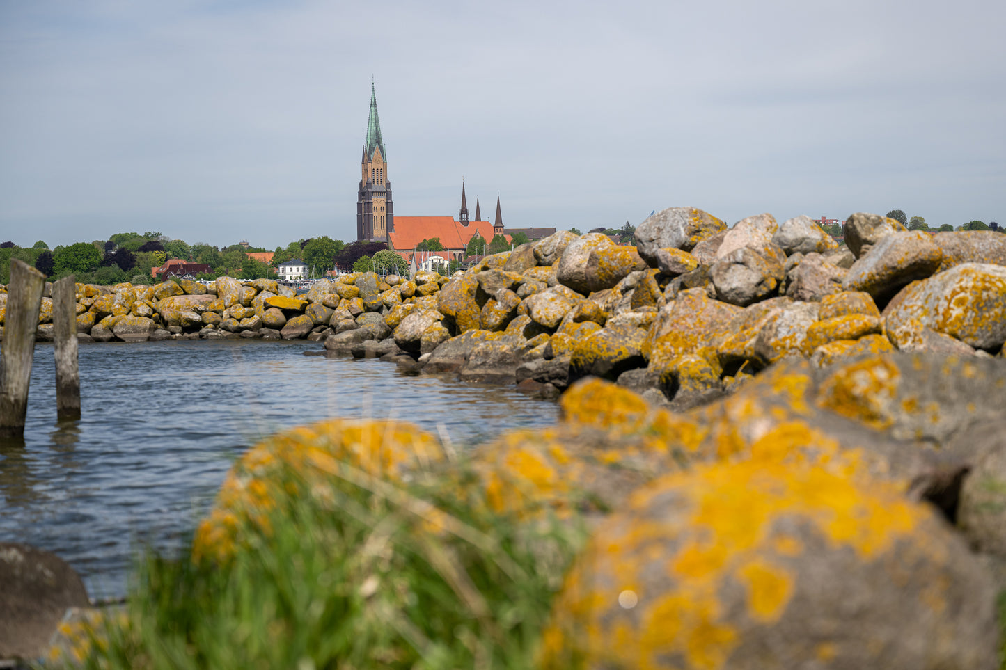 Leinwanddruck #49 "Der Schleswiger Dom"