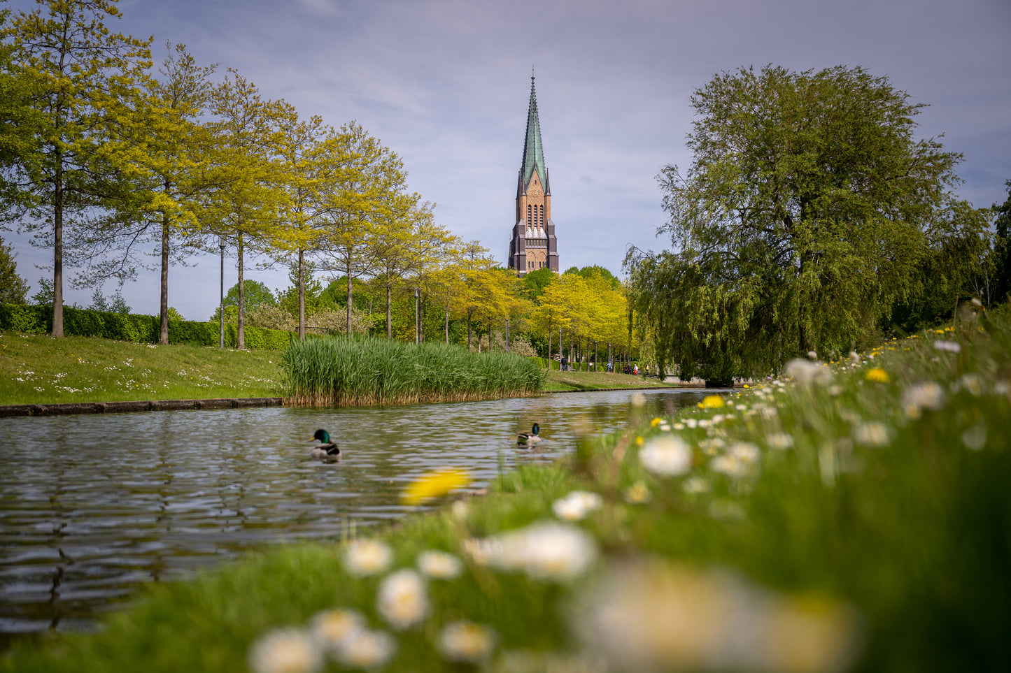 Leinwanddruck #50 "Der Schleswiger Dom"