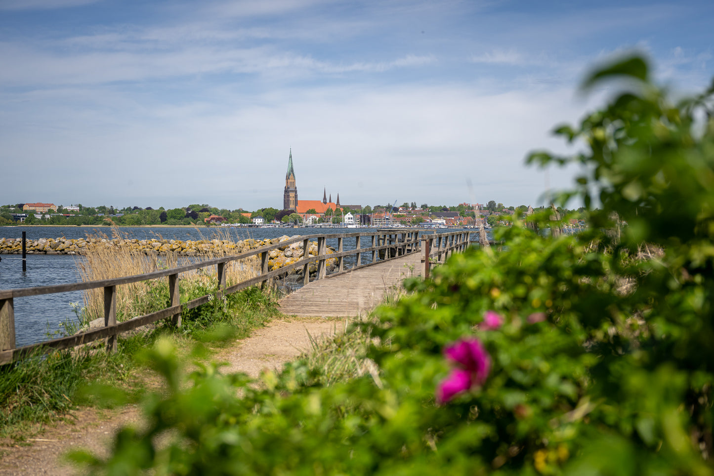 Leinwanddruck #52 "Schleswiger Dom"