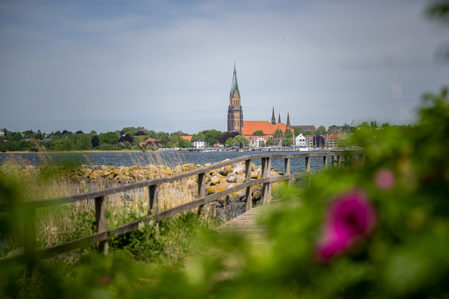 Leinwanddruck #53 "Schleswiger Dom"